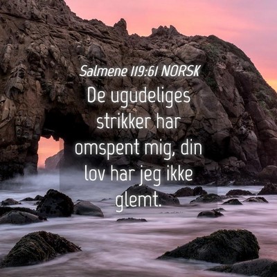 Picture 04 - Salmene 119:61 NORSK - De ugudeliges strikker har omspent mig, din lov - Bible Verse Picture