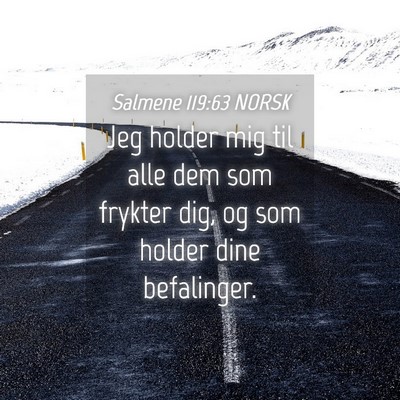 Picture 04 - Salmene 119:63 NORSK - Jeg holder mig til alle dem som frykter dig, og - Bible Verse Picture