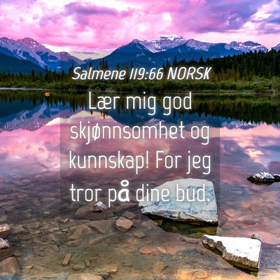 Picture 04 - Salmene 119:66 NORSK - Lær mig god skjønnsomhet og kunnskap! For jeg - Bible Verse Picture