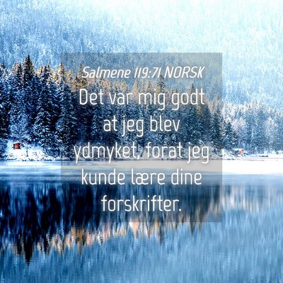Picture 04 - Salmene 119:71 NORSK - Det var mig godt at jeg blev ydmyket, forat jeg - Bible Verse Picture