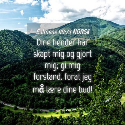 Picture 04 - Salmene 119:73 NORSK - Dine hender har skapt mig og gjort mig; gi mig - Bible Verse Picture