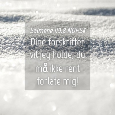 Picture 04 - Salmene 119:8 NORSK - Dine forskrifter vil jeg holde; du må ikke rent - Bible Verse Picture