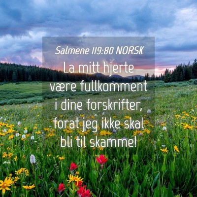 Picture 04 - Salmene 119:80 NORSK - La mitt hjerte være fullkomment i dine - Bible Verse Picture