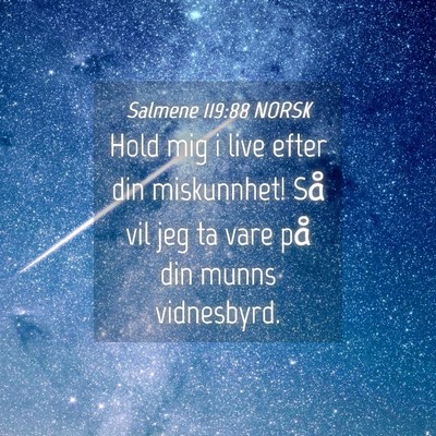 Picture 04 - Salmene 119:88 NORSK - Hold mig i live efter din miskunnhet! Så vil jeg - Bible Verse Picture