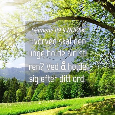 Picture 04 - Salmene 119:9 NORSK - Hvorved skal den unge holde sin sti ren? Ved å - Bible Verse Picture