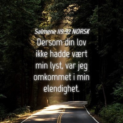 Picture 04 - Salmene 119:92 NORSK - Dersom din lov ikke hadde vært min lyst, var jeg - Bible Verse Picture