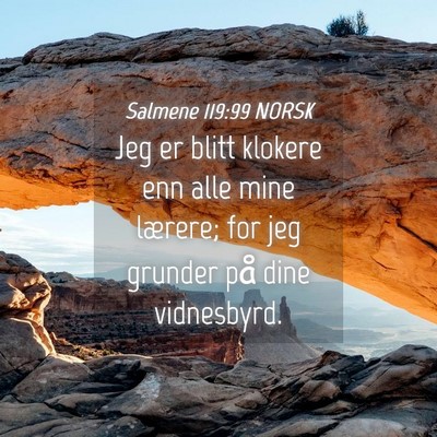 Picture 04 - Salmene 119:99 NORSK - Jeg er blitt klokere enn alle mine lærere; for - Bible Verse Picture