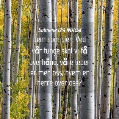 Picture 04 - Salmene 12:4 NORSK - dem som sier: Ved vår tunge skal vi få - Bible Verse Picture