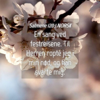 Picture 04 - Salmene 120:1 NORSK - En sang ved festreisene. Til Herren ropte jeg i - Bible Verse Picture