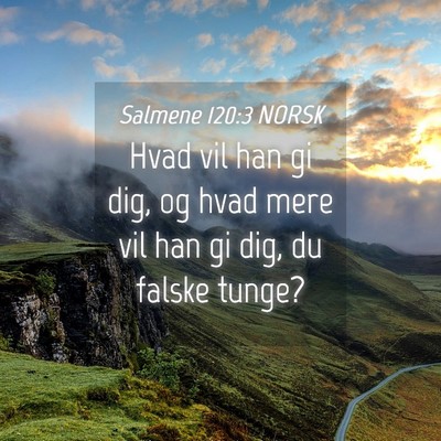 Picture 04 - Salmene 120:3 NORSK - Hvad vil han gi dig, og hvad mere vil han gi dig, - Bible Verse Picture