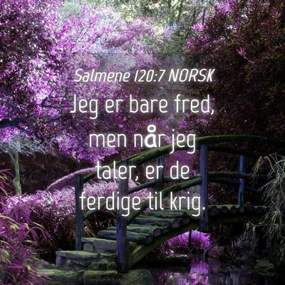 Picture 04 - Salmene 120:7 NORSK - Jeg er bare fred, men når jeg taler, er de - Bible Verse Picture