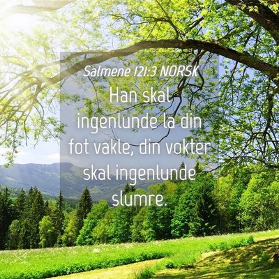 Picture 04 - Salmene 121:3 NORSK - Han skal ingenlunde la din fot vakle, din vokter - Bible Verse Picture