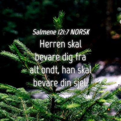 Picture 04 - Salmene 121:7 NORSK - Herren skal bevare dig fra alt ondt, han skal - Bible Verse Picture