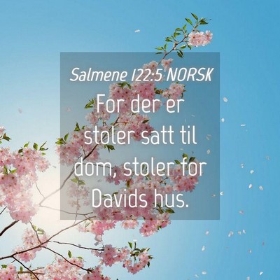 Picture 04 - Salmene 122:5 NORSK - For der er stoler satt til dom, stoler for Davids - Bible Verse Picture