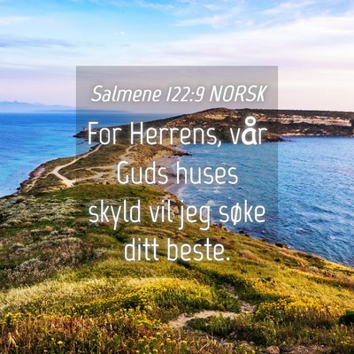 Picture 04 - Salmene 122:9 NORSK - For Herrens, vår Guds huses skyld vil jeg søke - Bible Verse Picture