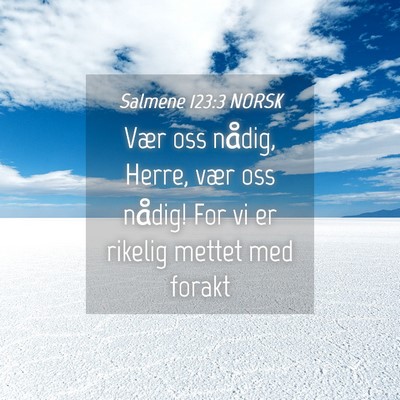 Picture 04 - Salmene 123:3 NORSK - Vær oss nådig, Herre, vær oss nådig! For vi - Bible Verse Picture