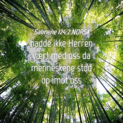 Picture 04 - Salmene 124:2 NORSK - hadde ikke Herren vært med oss da menneskene - Bible Verse Picture