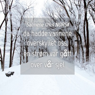 Picture 04 - Salmene 124:4 NORSK - da hadde vannene overskyllet oss, en strøm var - Bible Verse Picture