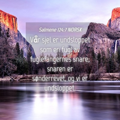 Picture 04 - Salmene 124:7 NORSK - Vår sjel er undsloppet som en fugl av - Bible Verse Picture