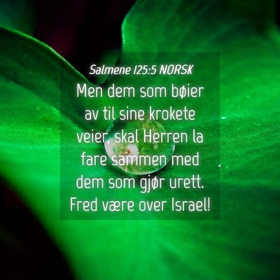 Picture 04 - Salmene 125:5 NORSK - Men dem som bøier av til sine krokete veier, - Bible Verse Picture