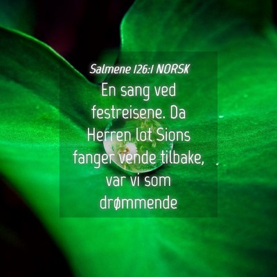 Picture 04 - Salmene 126:1 NORSK - En sang ved festreisene. Da Herren lot Sions - Bible Verse Picture
