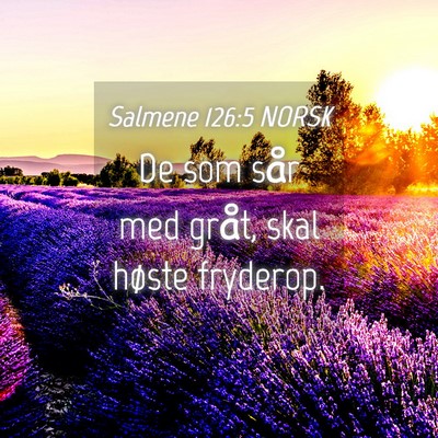 Picture 04 - Salmene 126:5 NORSK - De som sår med gråt, skal høste - Bible Verse Picture