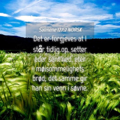 Picture 04 - Salmene 127:2 NORSK - Det er forgjeves at I står tidlig op, setter - Bible Verse Picture