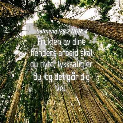 Picture 04 - Salmene 128:2 NORSK - Frukten av dine henders arbeid skal du nyte; - Bible Verse Picture