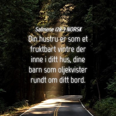 Picture 04 - Salmene 128:3 NORSK - Din hustru er som et fruktbart vintre der inne i - Bible Verse Picture