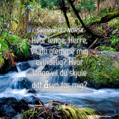 Picture 04 - Salmene 13:2 NORSK - Hvor lenge, Herre, vil du glemme mig evindelig? - Bible Verse Picture