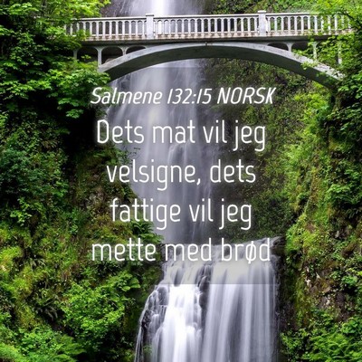 Picture 04 - Salmene 132:15 NORSK - Dets mat vil jeg velsigne, dets fattige vil jeg - Bible Verse Picture