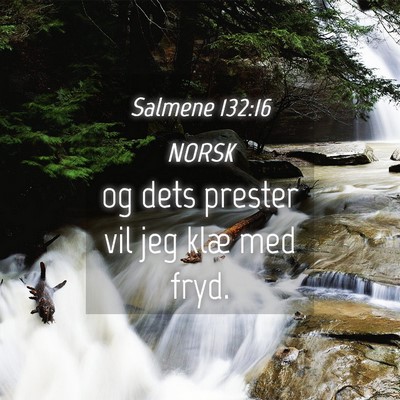 Picture 04 - Salmene 132:16 NORSK - og dets prester vil jeg klæ med - Bible Verse Picture