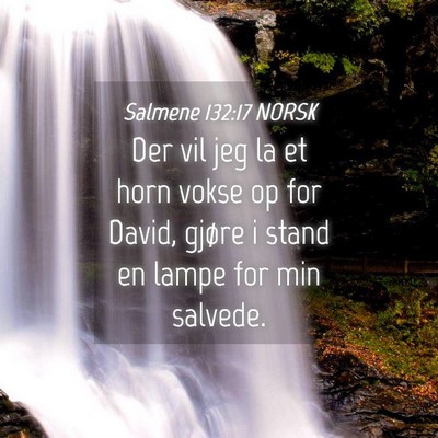 Picture 04 - Salmene 132:17 NORSK - Der vil jeg la et horn vokse op for David, gjøre - Bible Verse Picture
