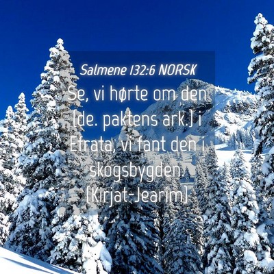 Picture 04 - Salmene 132:6 NORSK - Se, vi hørte om den {de. paktens ark.} i Efrata, - Bible Verse Picture