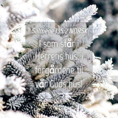 Picture 04 - Salmene 135:2 NORSK - I som står i Herrens hus, i forgårdene til vår - Bible Verse Picture