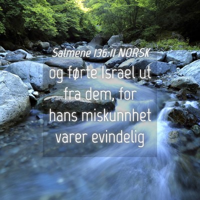 Picture 04 - Salmene 136:11 NORSK - og førte Israel ut fra dem, for hans miskunnhet - Bible Verse Picture