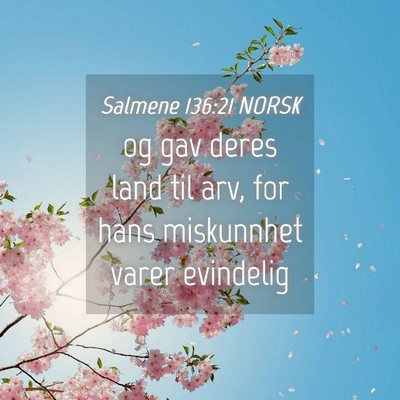 Picture 04 - Salmene 136:21 NORSK - og gav deres land til arv, for hans miskunnhet - Bible Verse Picture