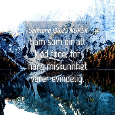 Picture 04 - Salmene 136:25 NORSK - ham som gir alt kjød føde, for hans miskunnhet - Bible Verse Picture