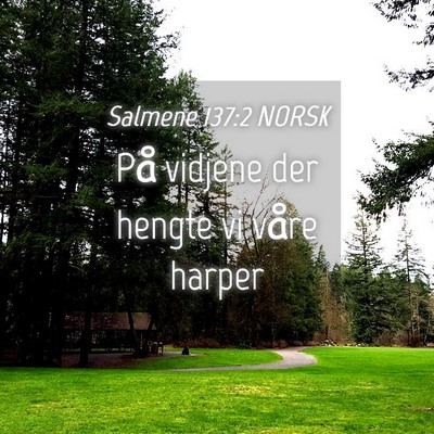 Picture 04 - Salmene 137:2 NORSK - På vidjene der hengte vi våre - Bible Verse Picture