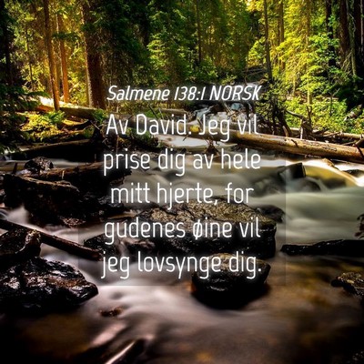 Picture 04 - Salmene 138:1 NORSK - Av David. Jeg vil prise dig av hele mitt hjerte, - Bible Verse Picture