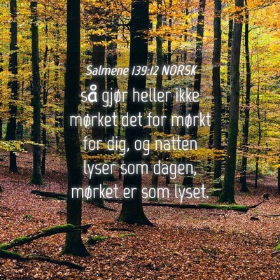 Picture 04 - Salmene 139:12 NORSK - så gjør heller ikke mørket det for mørkt for - Bible Verse Picture