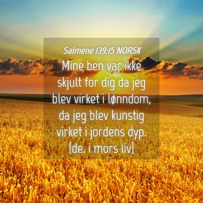 Picture 04 - Salmene 139:15 NORSK - Mine ben var ikke skjult for dig da jeg blev - Bible Verse Picture
