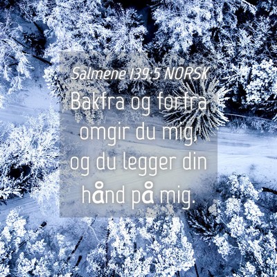Picture 04 - Salmene 139:5 NORSK - Bakfra og forfra omgir du mig, og du legger din - Bible Verse Picture