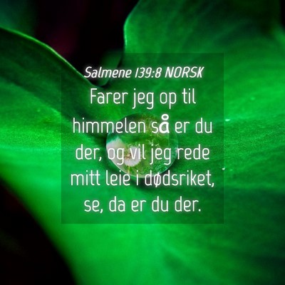 Picture 04 - Salmene 139:8 NORSK - Farer jeg op til himmelen så er du der, og vil - Bible Verse Picture
