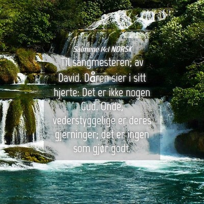 Picture 04 - Salmene 14:1 NORSK - Til sangmesteren; av David. Dåren sier i sitt - Bible Verse Picture