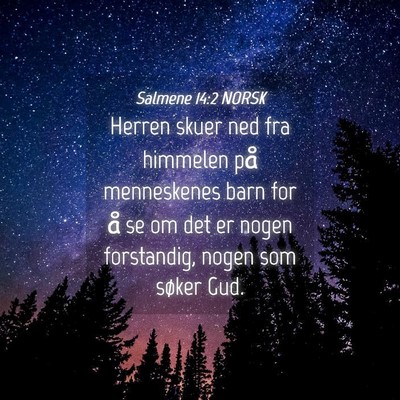 Picture 04 - Salmene 14:2 NORSK - Herren skuer ned fra himmelen på menneskenes - Bible Verse Picture