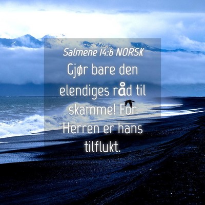 Picture 04 - Salmene 14:6 NORSK - Gjør bare den elendiges råd til skamme! For - Bible Verse Picture