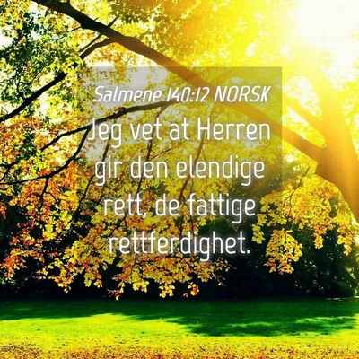 Picture 04 - Salmene 140:12 NORSK - Jeg vet at Herren gir den elendige rett, de - Bible Verse Picture