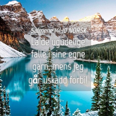 Picture 04 - Salmene 141:10 NORSK - La de ugudelige falle i sine egne garn, mens jeg - Bible Verse Picture