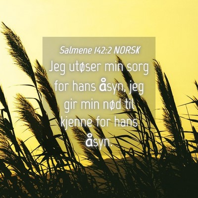 Picture 04 - Salmene 142:2 NORSK - Jeg utøser min sorg for hans åsyn, jeg gir min - Bible Verse Picture